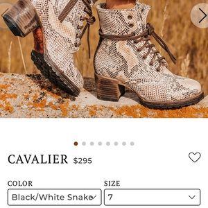 Freebird Cavalier snakeskin style boots. Size 7. Worn once.